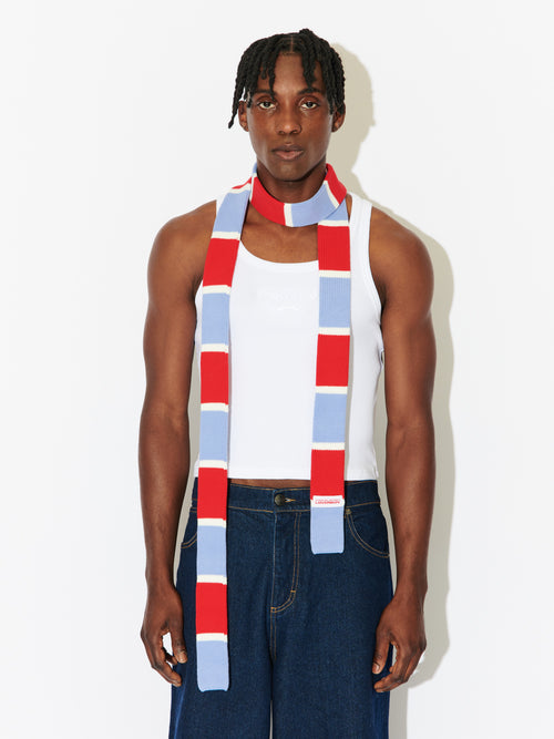 SKINNY SCARF in RED + BLUE STRIPE