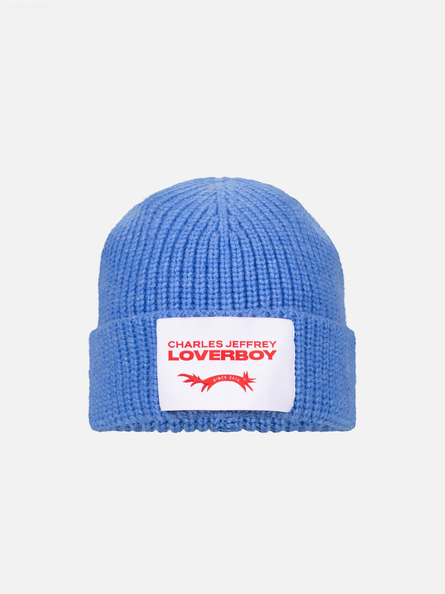 CHUNKY RIB BEANIE in BLUE