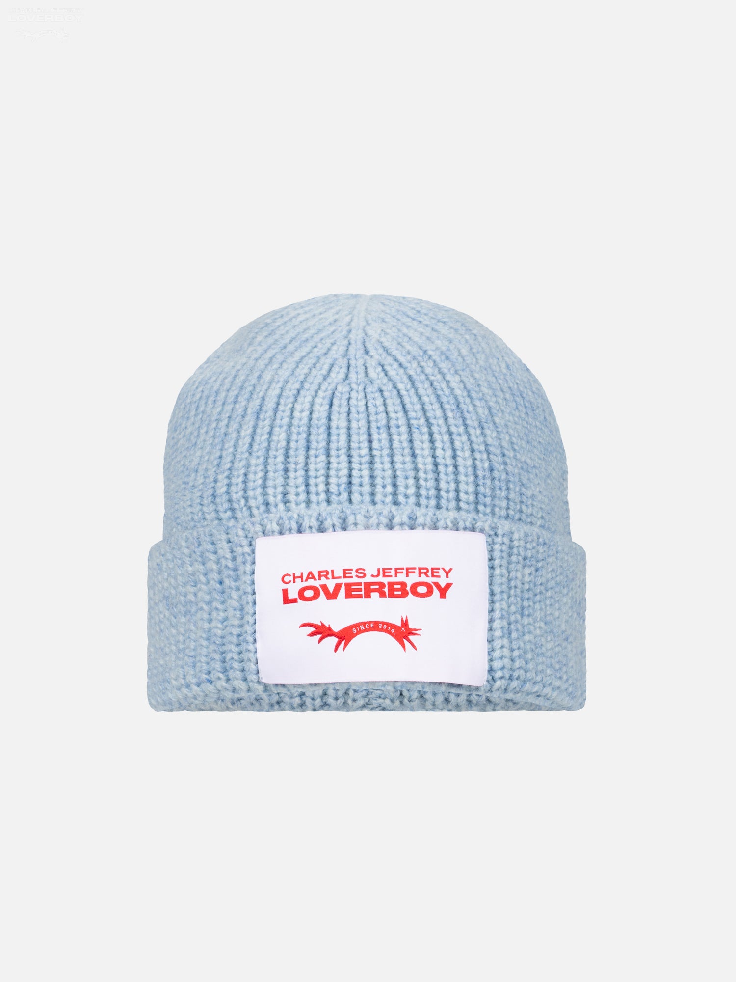 CHUNKY RIB BEANIE in LIGHT BLUE