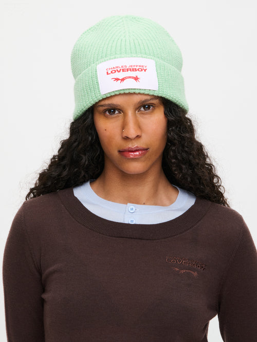 CHUNKY RIB BEANIE in LIGHT GREEN