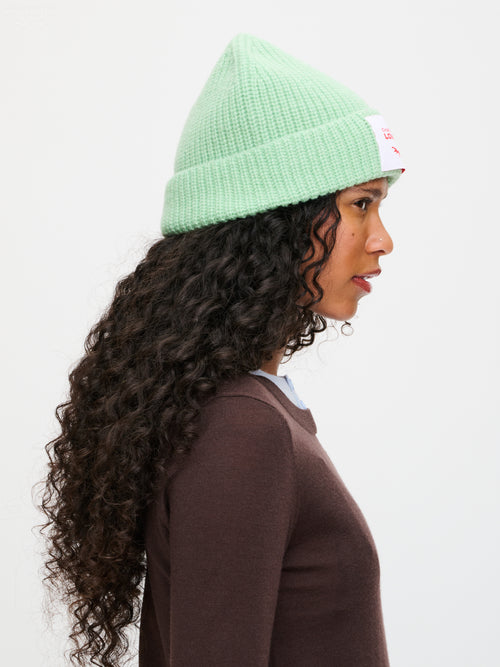 CHUNKY RIB BEANIE in LIGHT GREEN