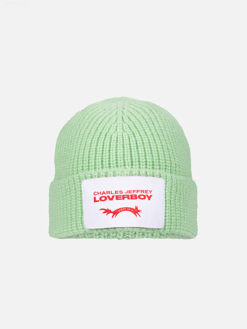 CHUNKY RIB BEANIE in LIGHT GREEN