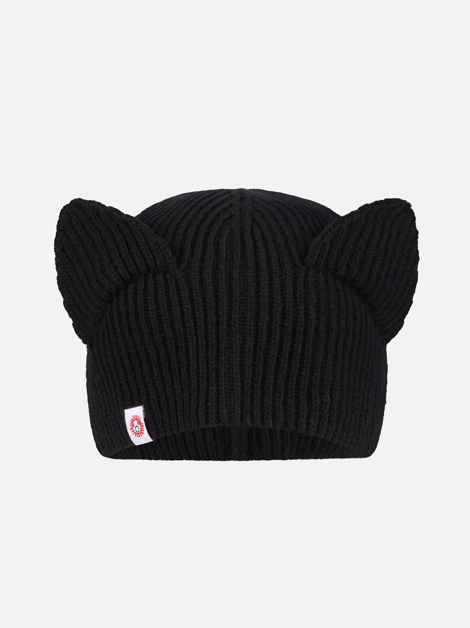 EARS RIB BEANIE in BLACK